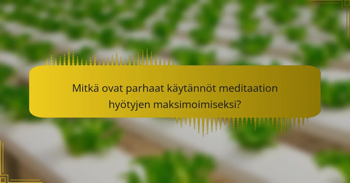 Mitkä ovat parhaat käytännöt meditaation hyötyjen maksimoimiseksi?